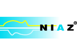 Logo_niaz